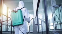 Fumigation and Pest Control