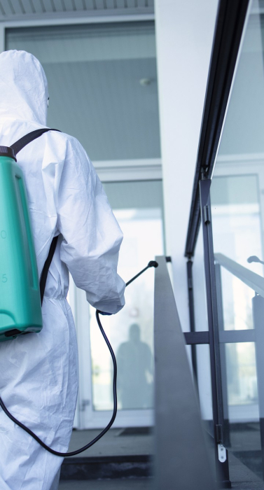 Fumigation and Pest Control