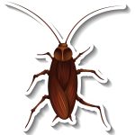 A sticker template with top view of a cockroach isolated illustration
