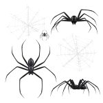 Black spiders realistic set with isolated images of spiderweb crackles and arthropod insects on blank background vector illustration SSUCv3H4sIAAAAAAACA01Ry07DQAz8FcvniIK45QZShUBCVHDgUHHYbNzUZLOu1psUVOXf8aYFcfNjPB6PT9g4ZY/1CTmEUXNymSVifVMhtZwlsQtYX88VanZ5VFLDWuZdps66S/5Lsj2VOtb40nySz4o2NTaWP7N6CsFFklFxrn5xd5EHF3T1zqENvKO/gceoC8H8UaHrKPrvstb2JgrkFhVba/XHTGm4SJq4JTmHbmy5hDiJN36sb4tkO0+GUu2SO+zZJ54olbwl9RbgfXC+Bz0YUVJI5AJrZg9KGY6c98AqwQ5vwWR3pCC7C/pIDfhk08GqLrbgUt4nOYhBz6eARGjMgR4ag3VJRkNN1pEE/62/grX57ppAsN68LVyvFG2FEcHT5gF2kgYzr8L8VSzE6uLlmUtXLXkpVFNxU3p75TzPP2t18Z/oAQAA