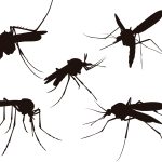 3138783_447577-PF6P8E-683